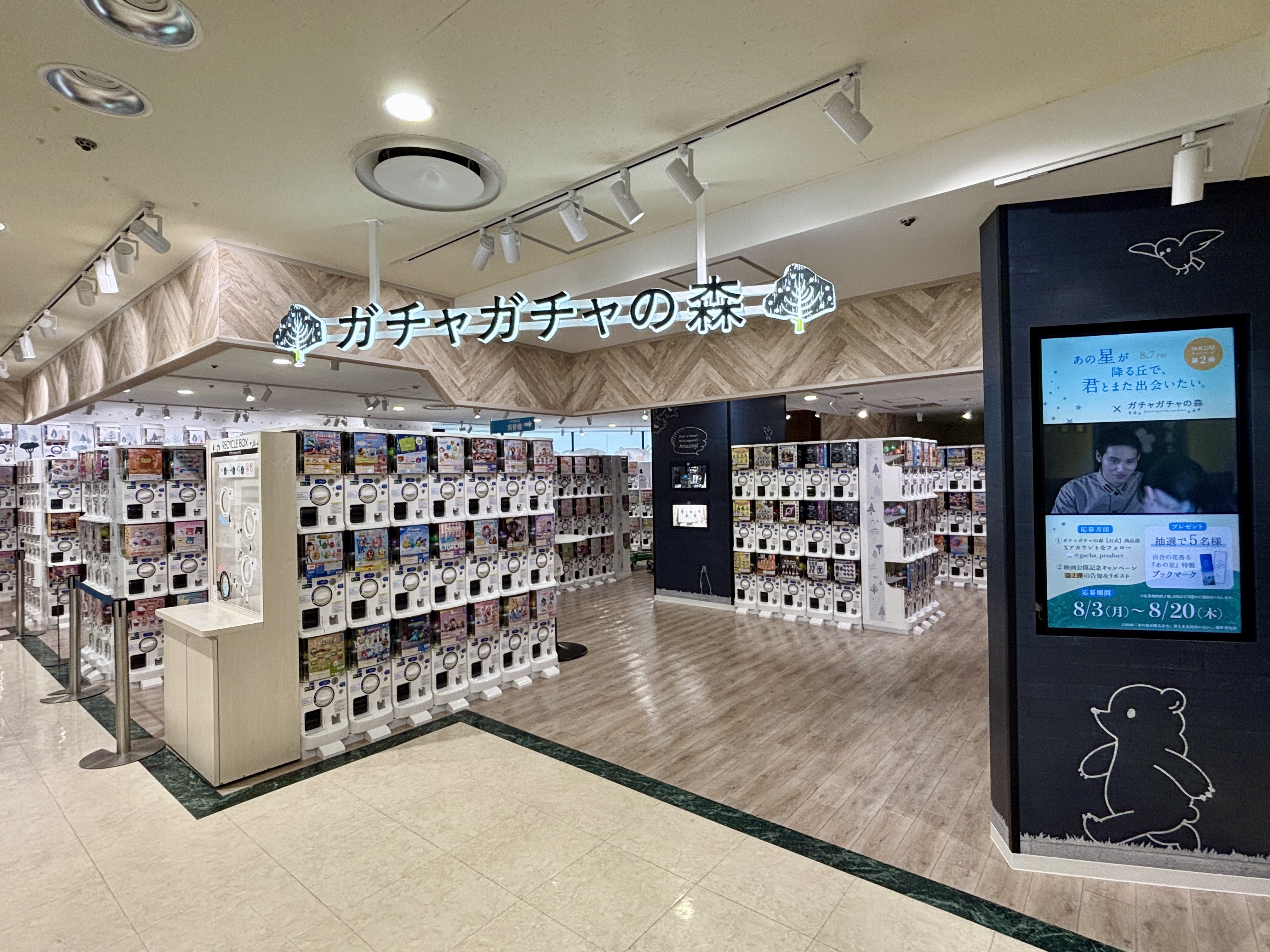 ガチャガチャの森T-FACE店